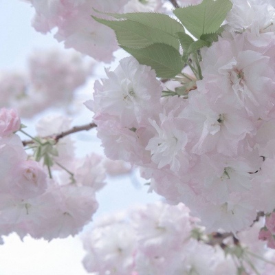 榆中福瑞交流群